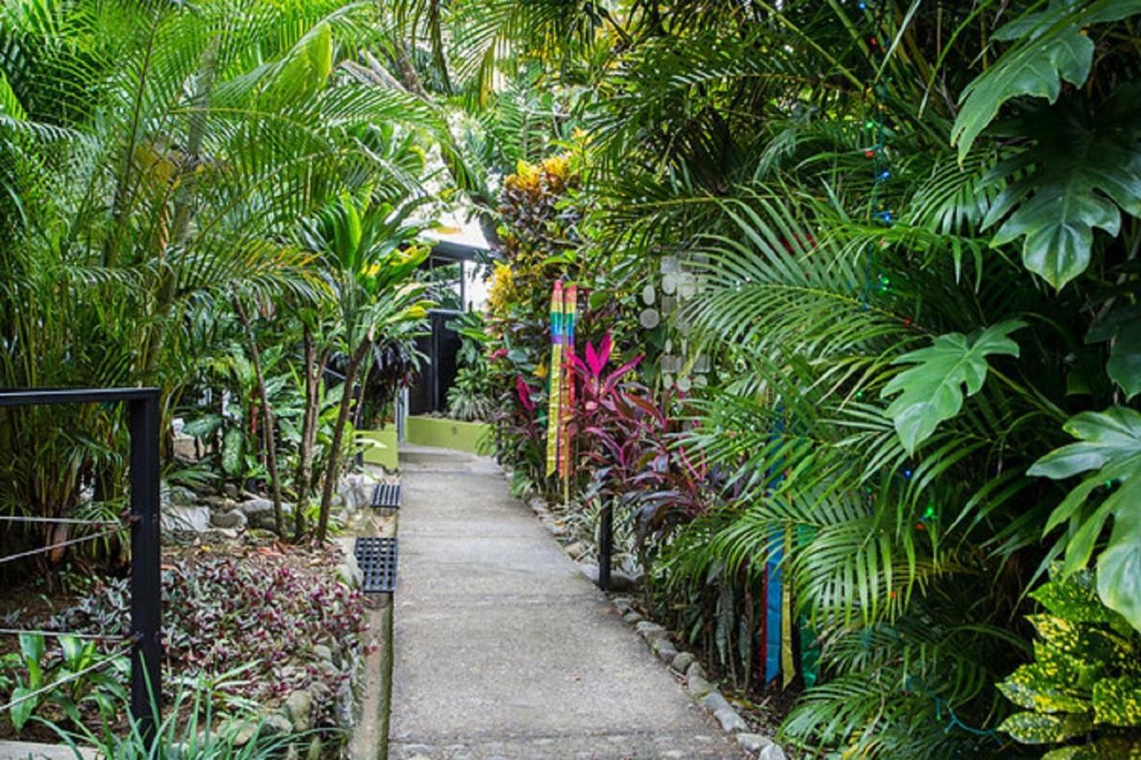 Tico Tico Villas - Adult Only Manuel Antonio Buitenkant foto